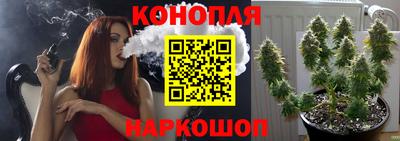 гидропоника Аргун