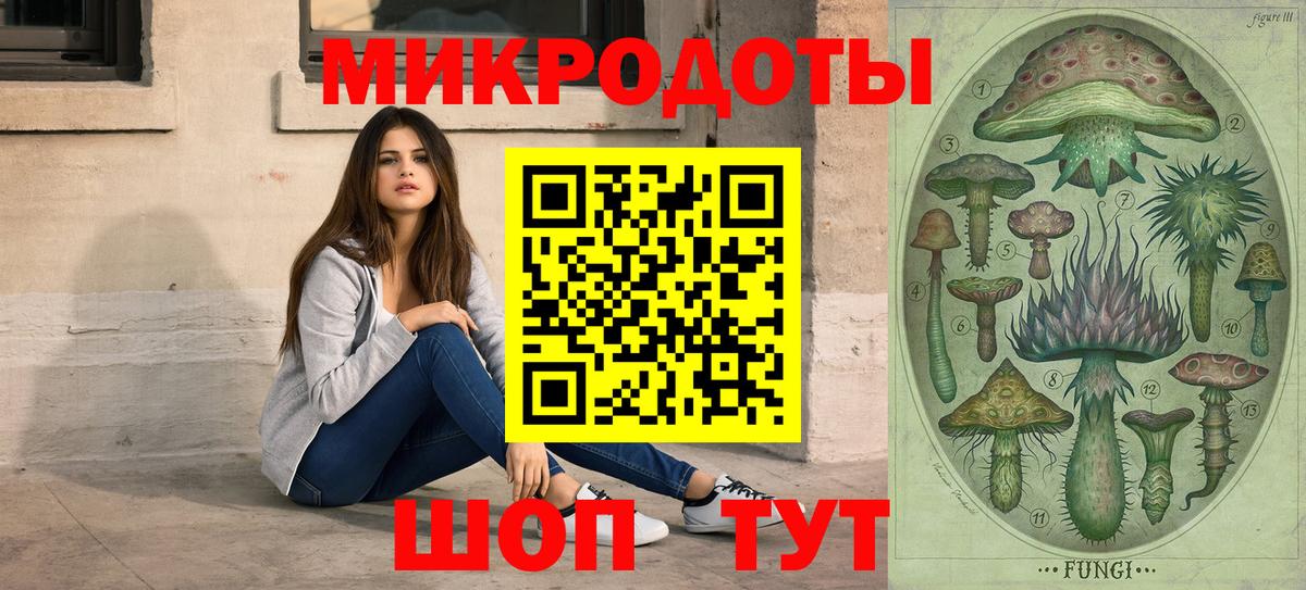 Артёмовский  где найти   Вход с VPN  Псилоцибиновые грибы мухоморы 